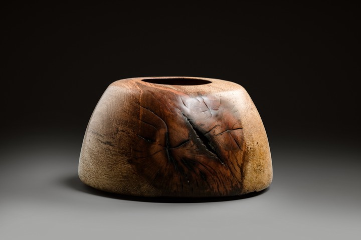 Korkeiche, 41 × 32 cm - Andreas Senoner