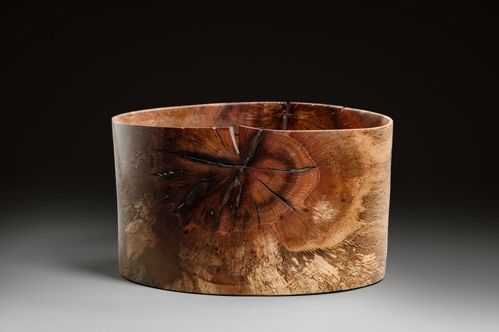 Korkeiche, 36 × 24 cm - Andreas Senoner