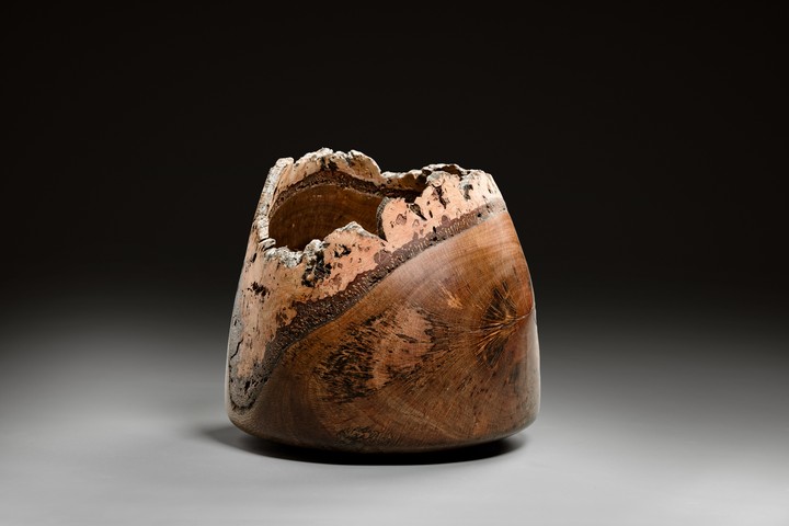 Korkeiche, 28 × 26 cm - Andreas Senoner