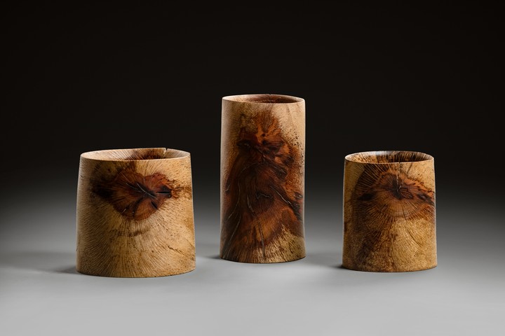 Korkeiche, 14–21 × 8–12 cm - Andreas Senoner