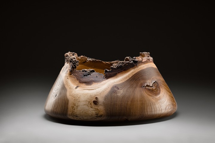 Ulme, 35 × 19 cm - Andreas Senoner