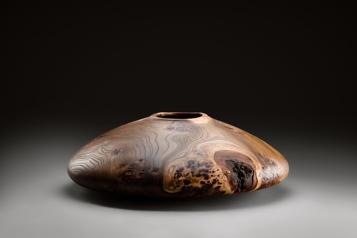 Ulme, 32 × 13 cm - Andreas Senoner