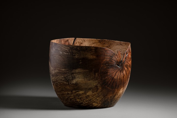 Korkeiche, 37 × 37 cm - Andreas Senoner