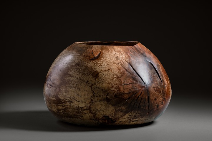 Korkeiche, 52 × 32 cm - Andreas Senoner